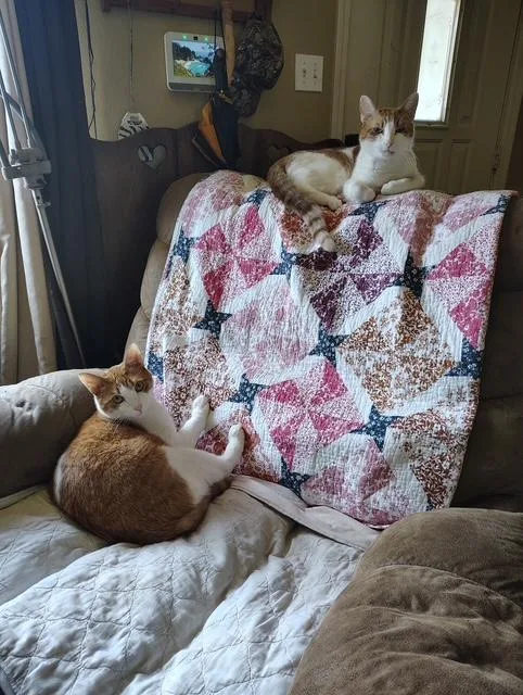 Ray & Lee thumbnail 6