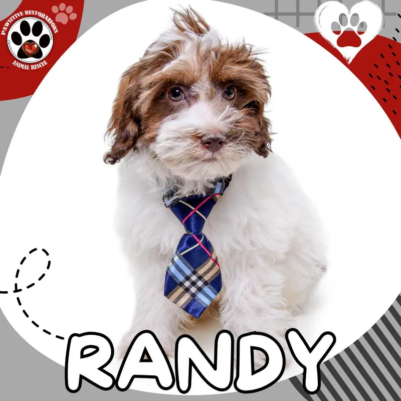 Randy