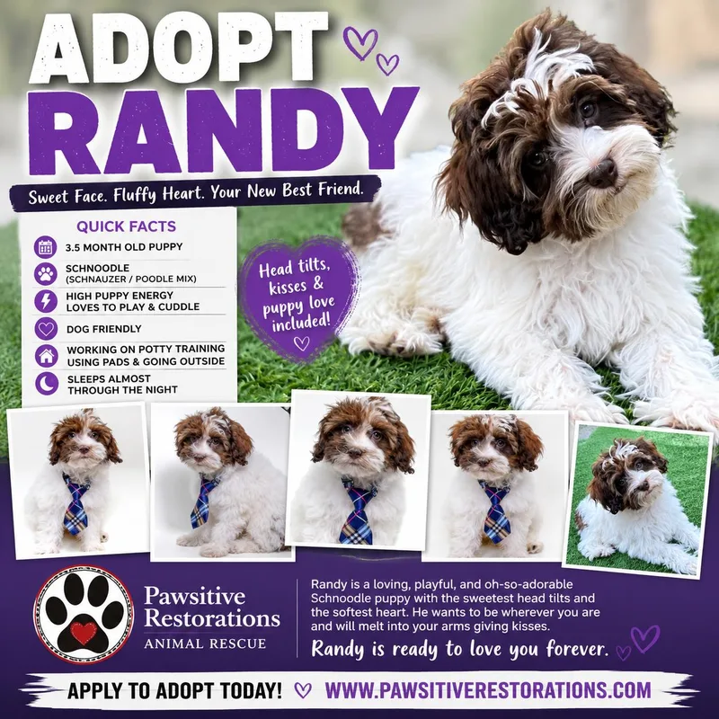 Randy thumbnail 3