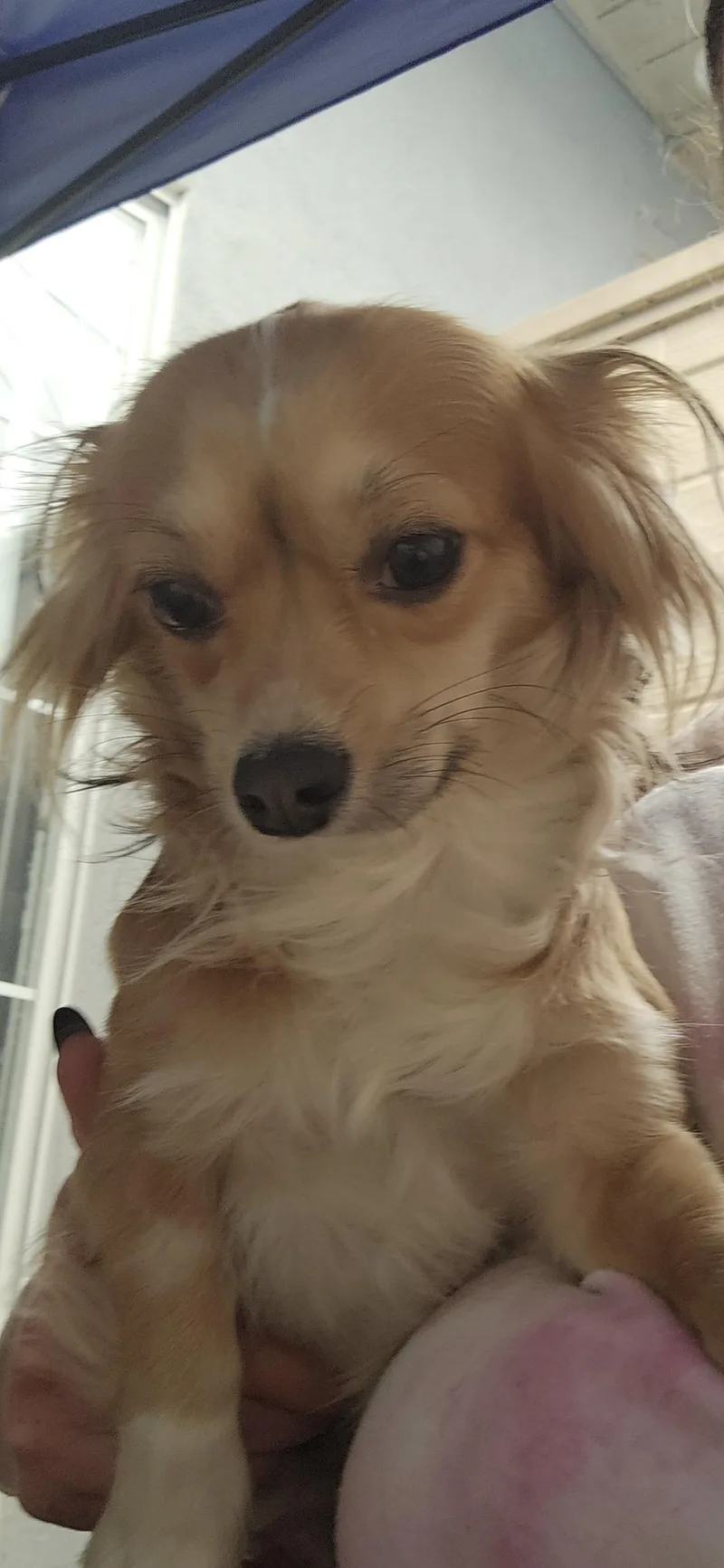 Checkers thumbnail 2