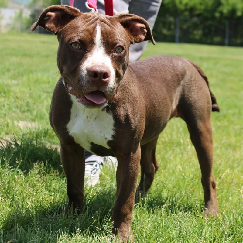 Zeus