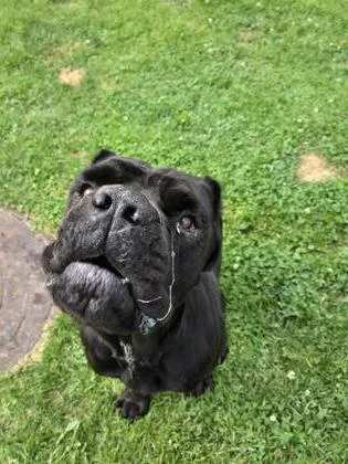 Derpy