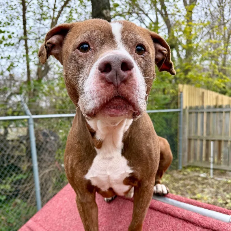 Theodore thumbnail 3