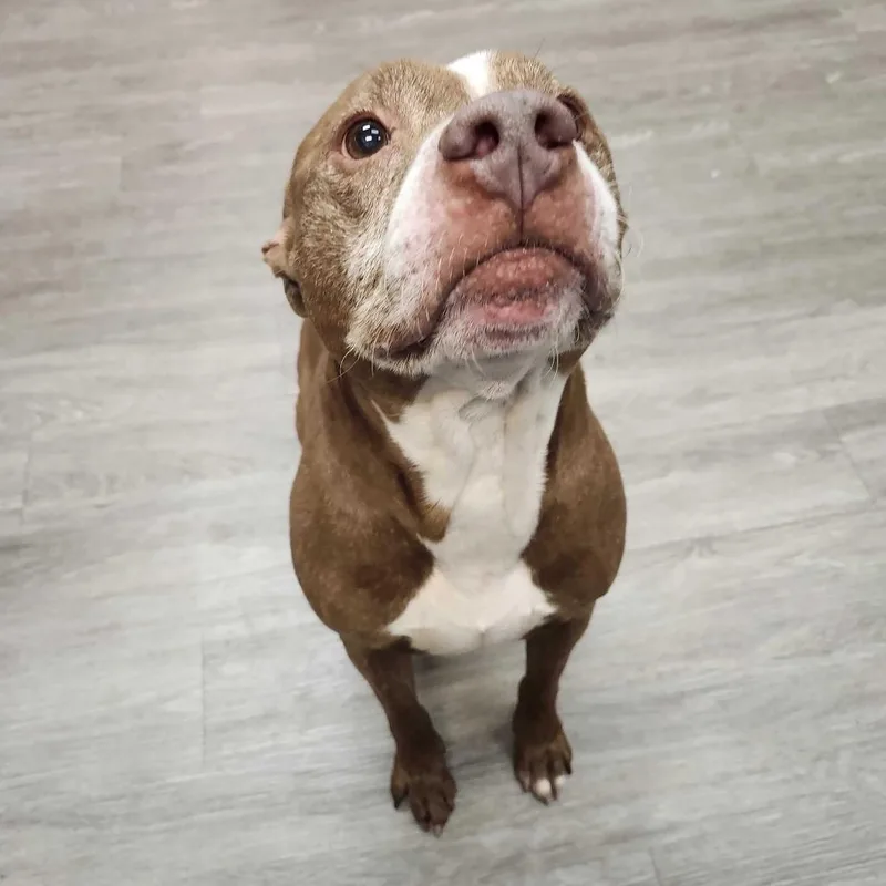 Theodore thumbnail 4