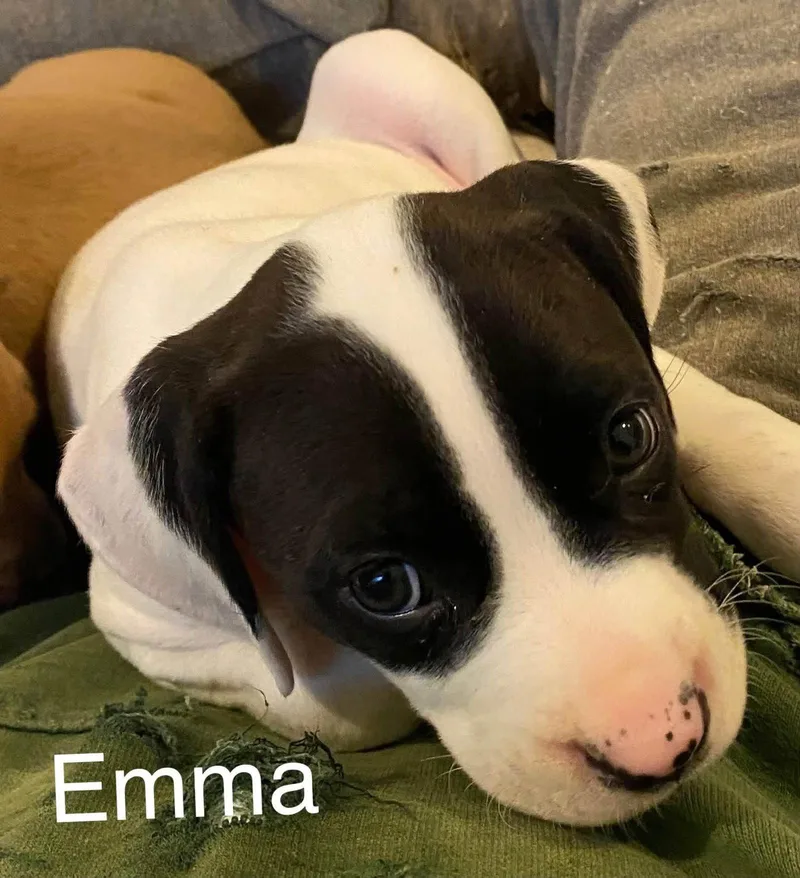 Emma