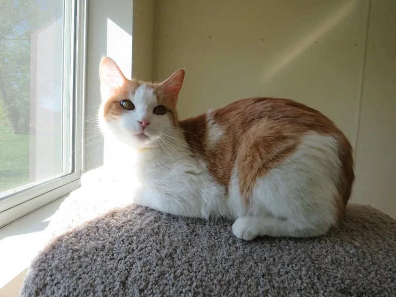 Freddie thumbnail 2