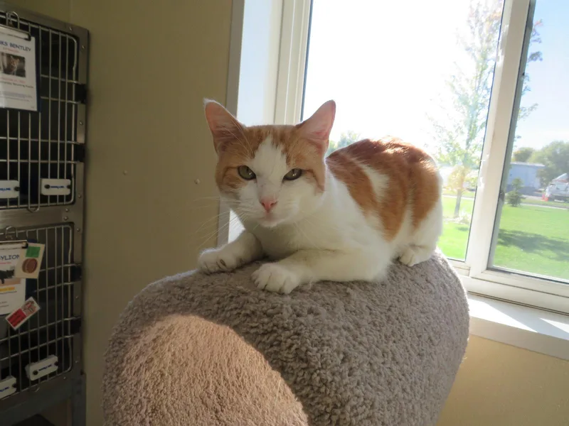 Freddie thumbnail 3