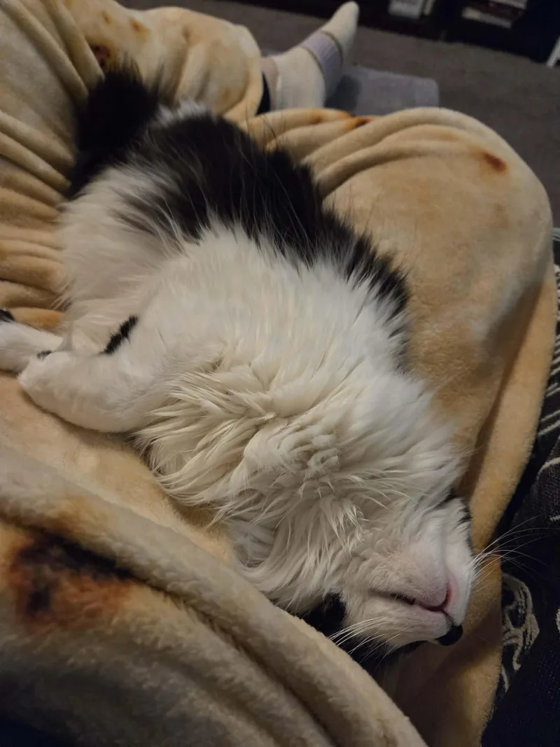 Freya thumbnail 2