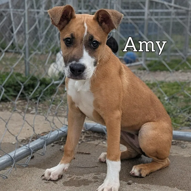 Amy thumbnail 2