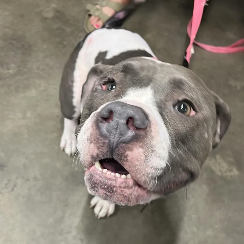 Lena