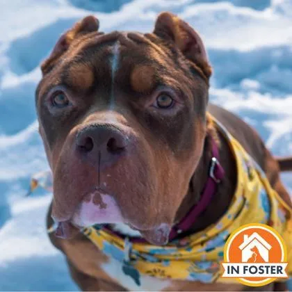 Marty Mcfly thumbnail 2