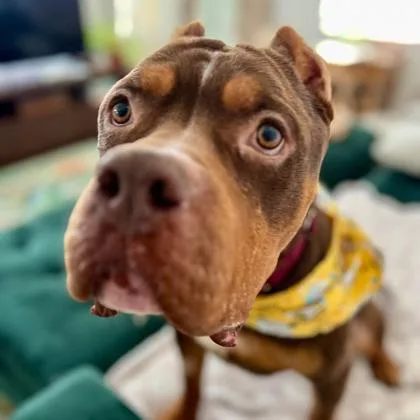 Marty Mcfly thumbnail 3