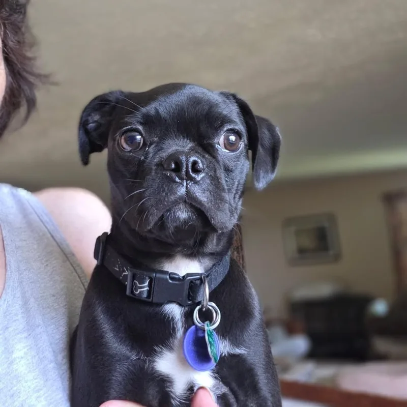 Betty  COMING SOON thumbnail 3