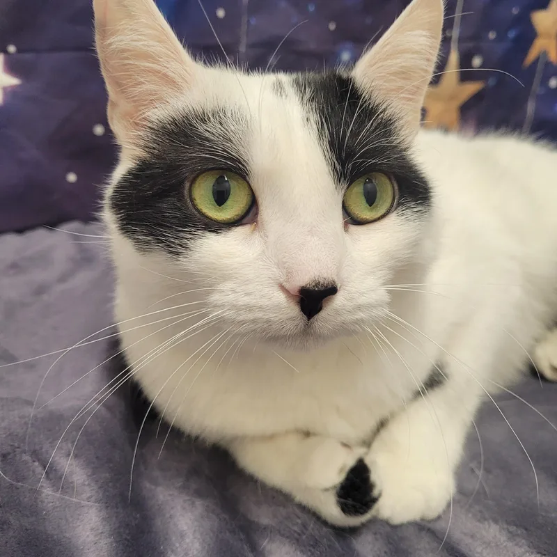 Dixie & Baylee thumbnail 2