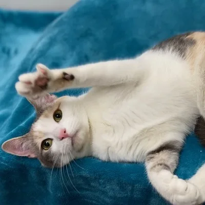 Dixie & Baylee thumbnail 3