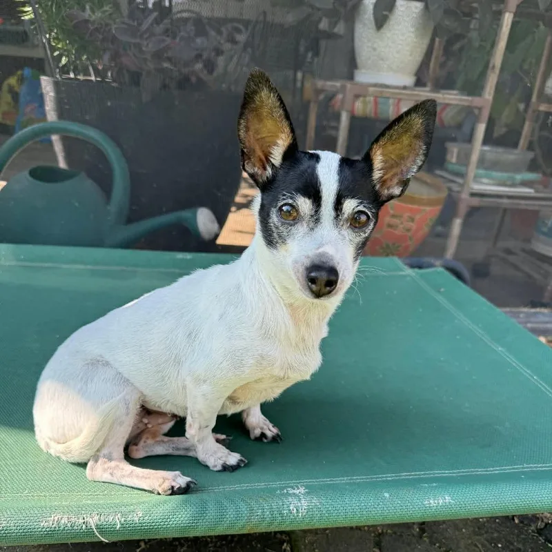 Teacup  D Arriving thumbnail 5