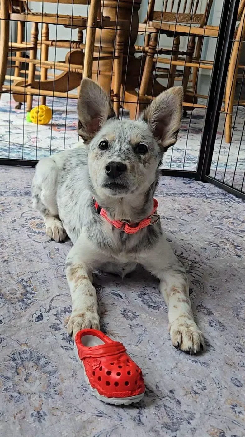 Ethel