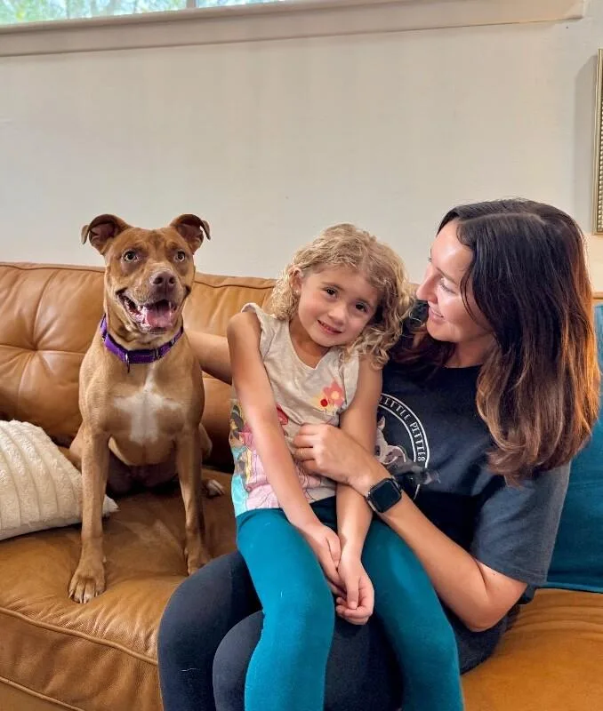 A young medium-sized female Apricot / Beige Pit Bull Terrier dog named Sweet Peaches The Little for adoption in Friendswood, TX