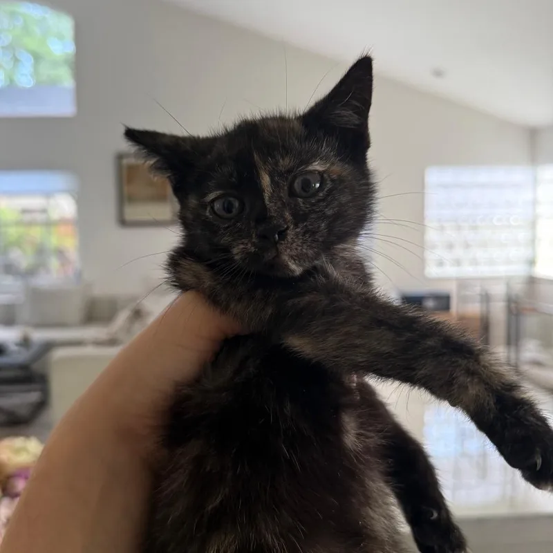 Martha thumbnail 6