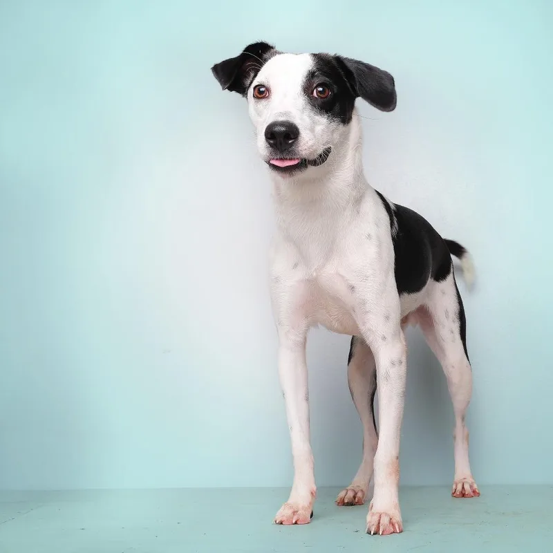 Valentin thumbnail 2