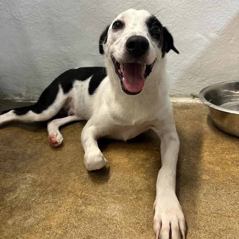 Valentin thumbnail 4