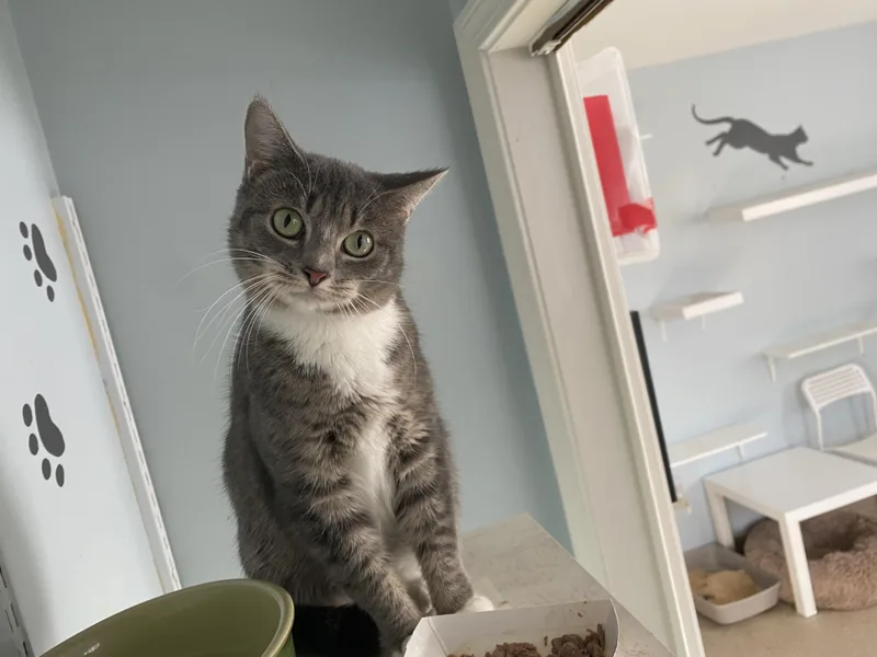 Miss Nanny thumbnail 5