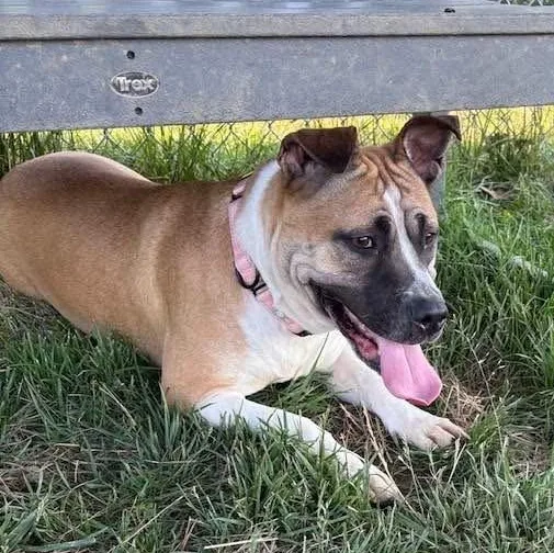 Delilah