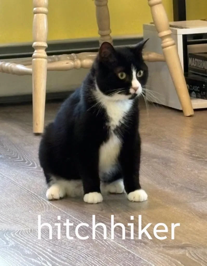 Hitchhiker thumbnail 2