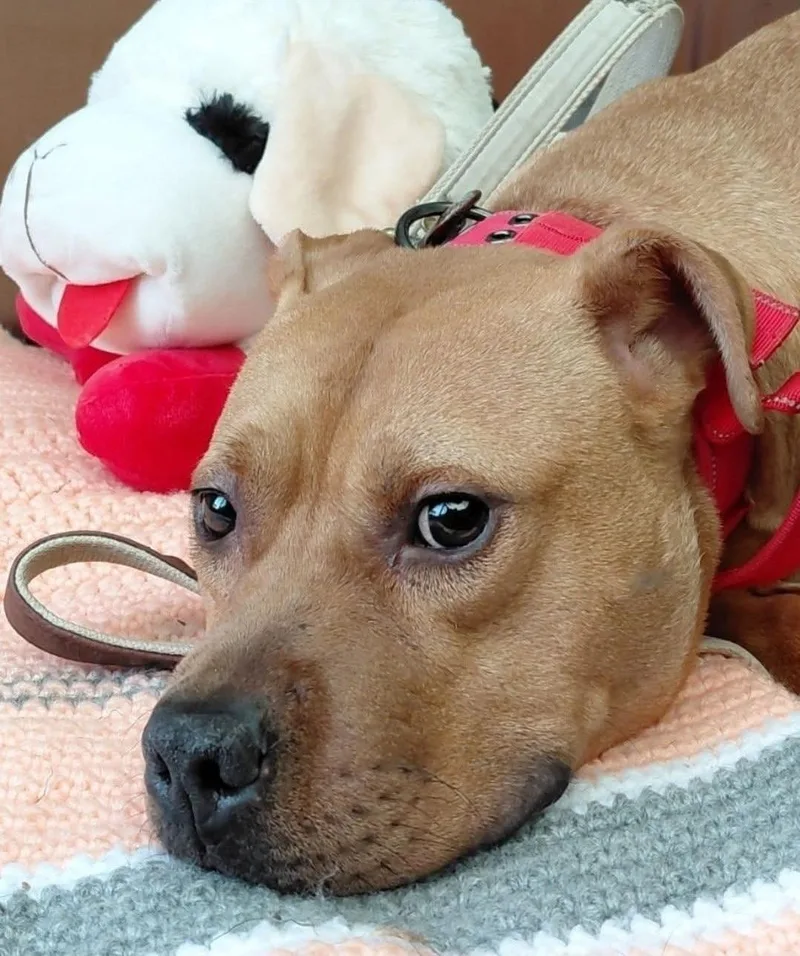 Little Ricky thumbnail 2