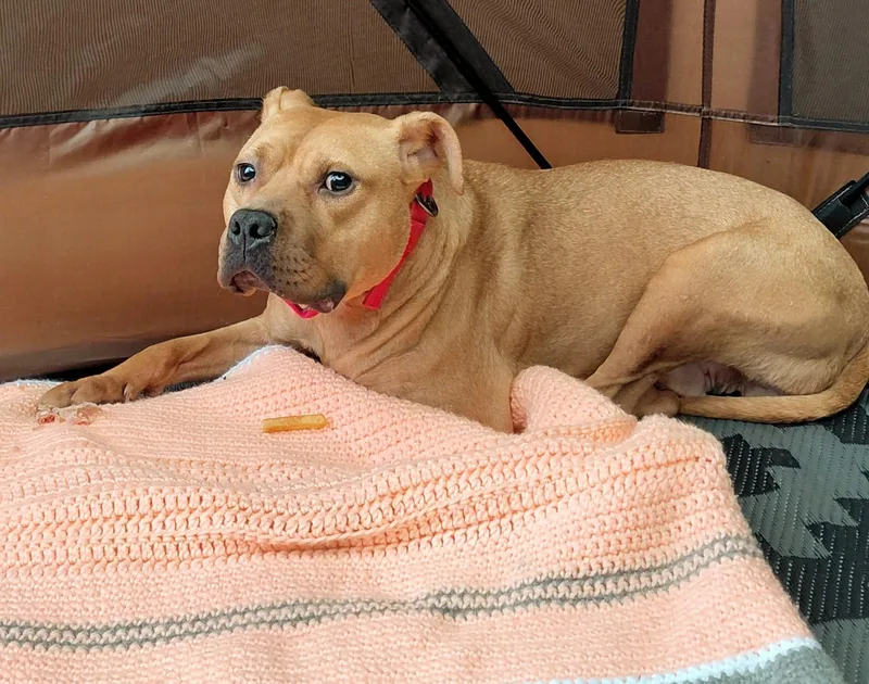 Little Ricky thumbnail 3