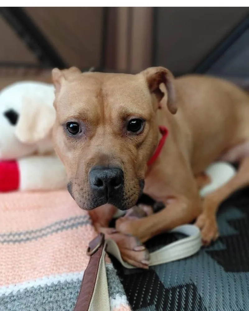 Little Ricky thumbnail 4