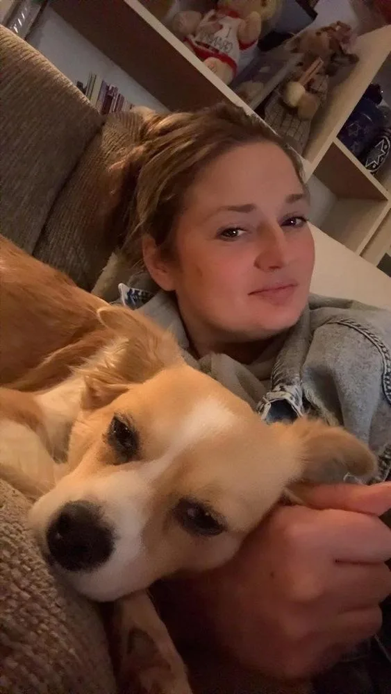 A young small-sized male White / Cream Chihuahua dog named Linden for adoption in Middletown, CT