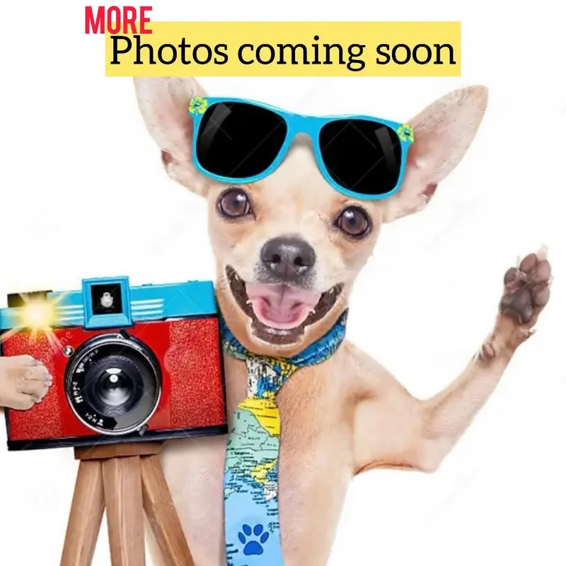 Brooklyn  Ecas thumbnail 3