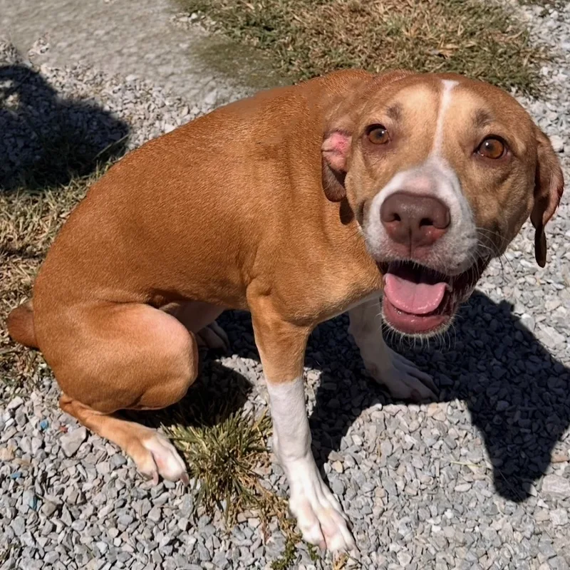 Maggie Mae