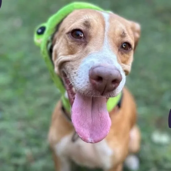 Maggie Mae thumbnail 3