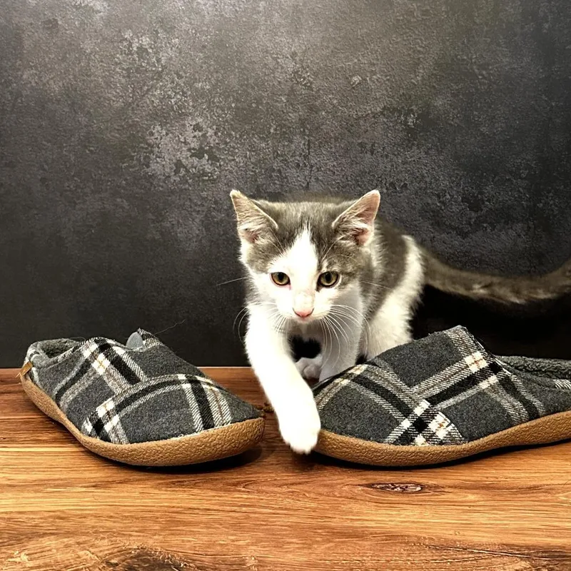 Mary Jane's Slipper thumbnail 2