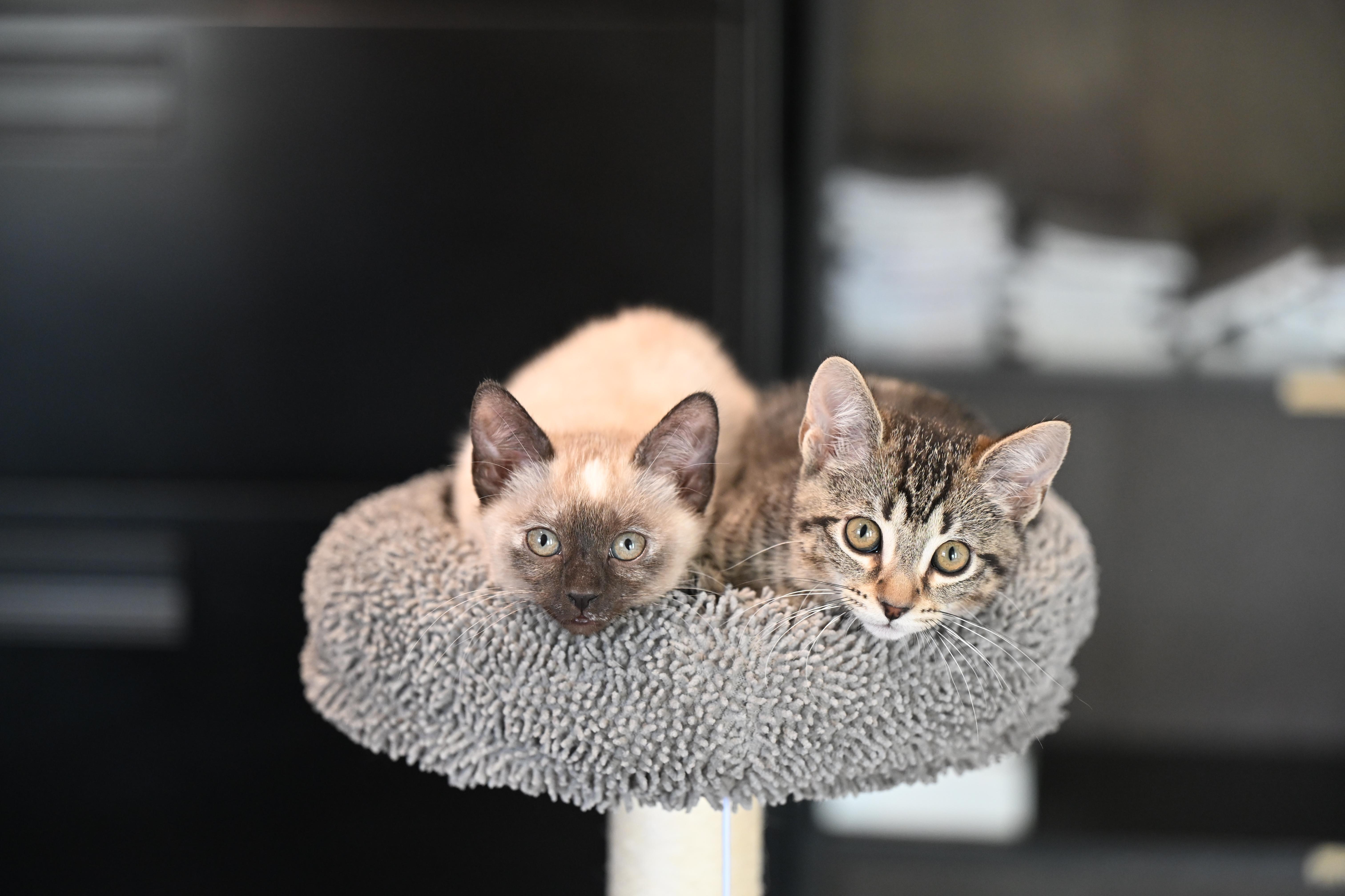 Lucy And Ricky Ricardo!