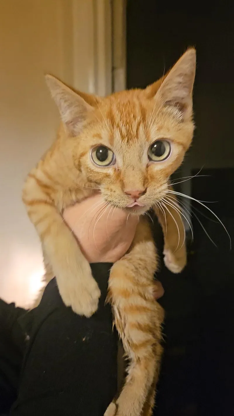 Jeremy & Joshua N. thumbnail 2