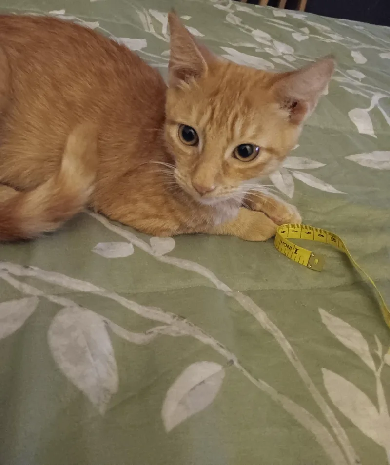 Jeremy & Joshua N. thumbnail 3