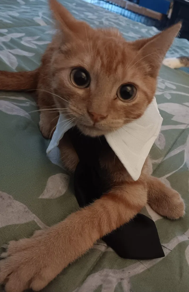 Jeremy & Joshua N. thumbnail 4