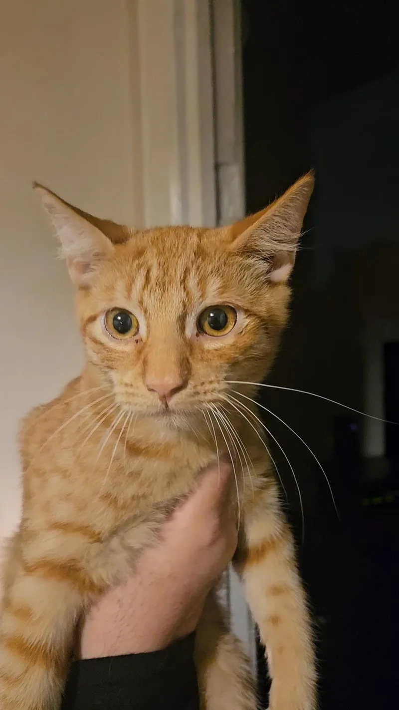 Jeremy & Joshua N. thumbnail 5