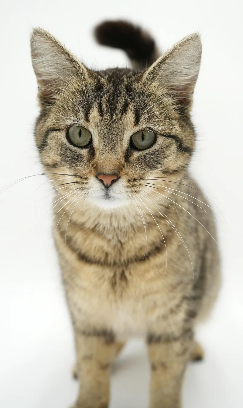 Louise Is So Darn thumbnail 2