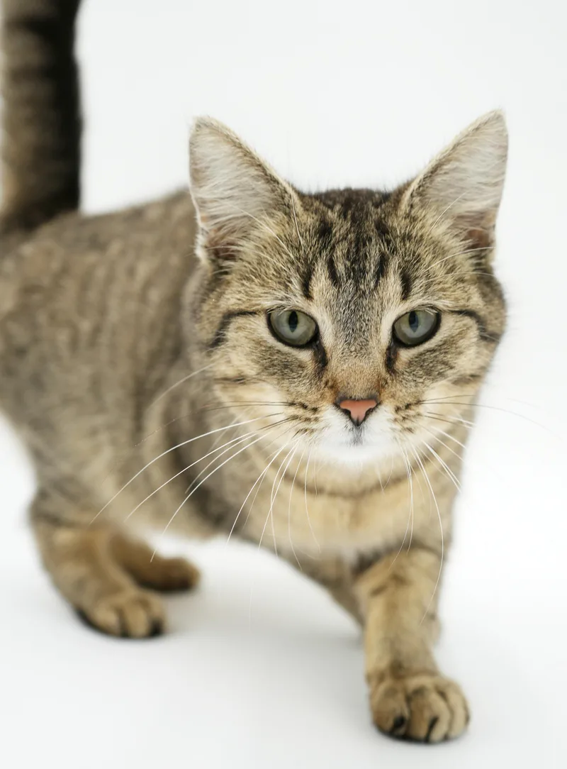 Louise Is So Darn thumbnail 3