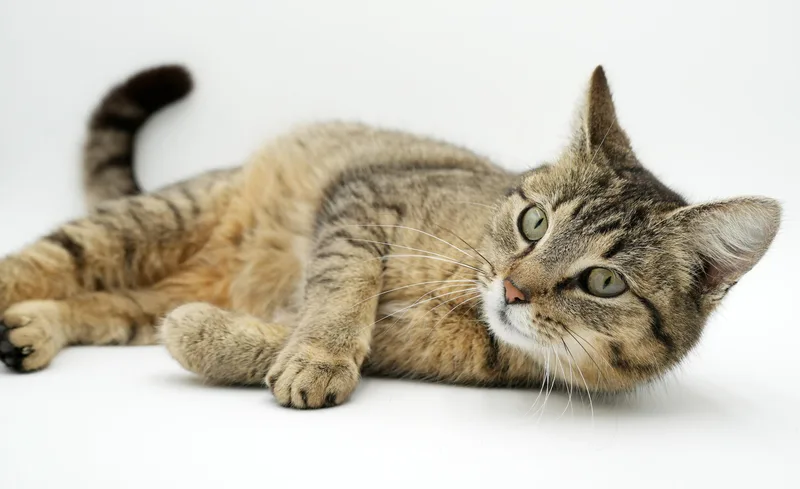 Louise Is So Darn thumbnail 4