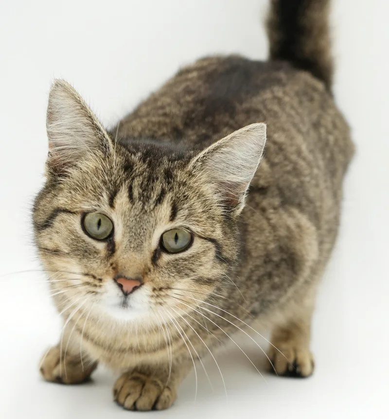 Louise Is So Darn thumbnail 5