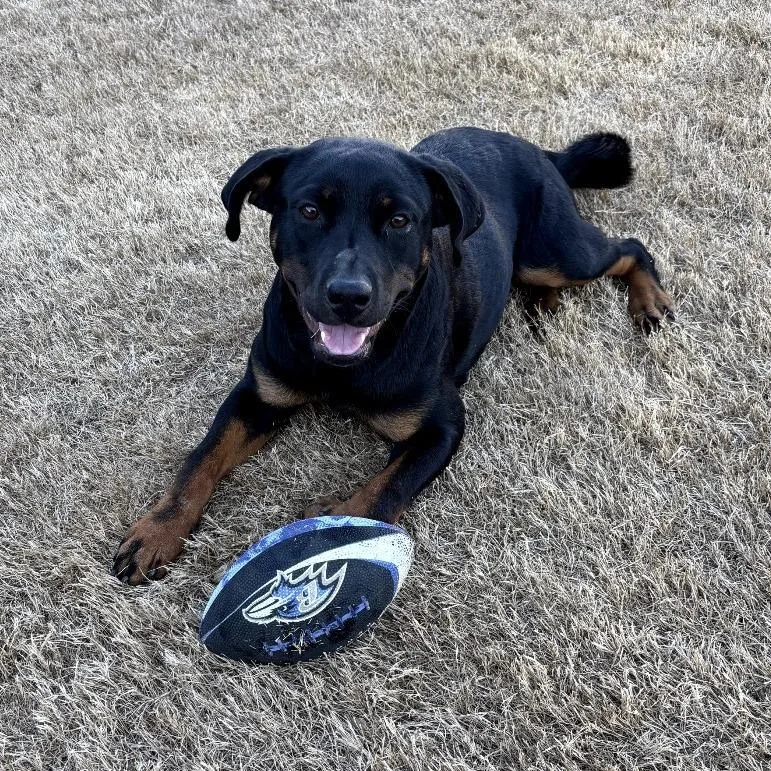 Little Missy thumbnail 4