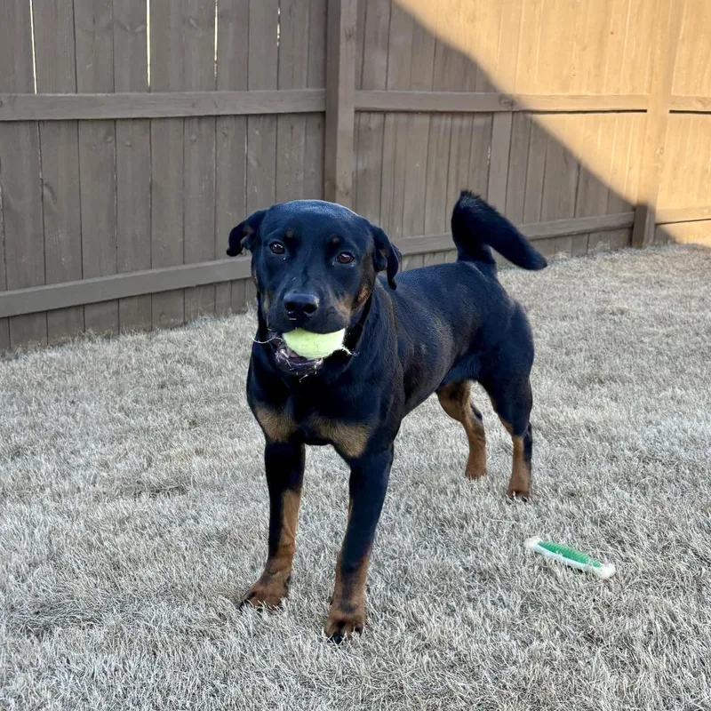 Little Missy thumbnail 6