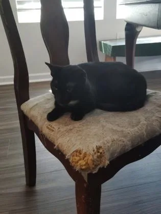 Salem
