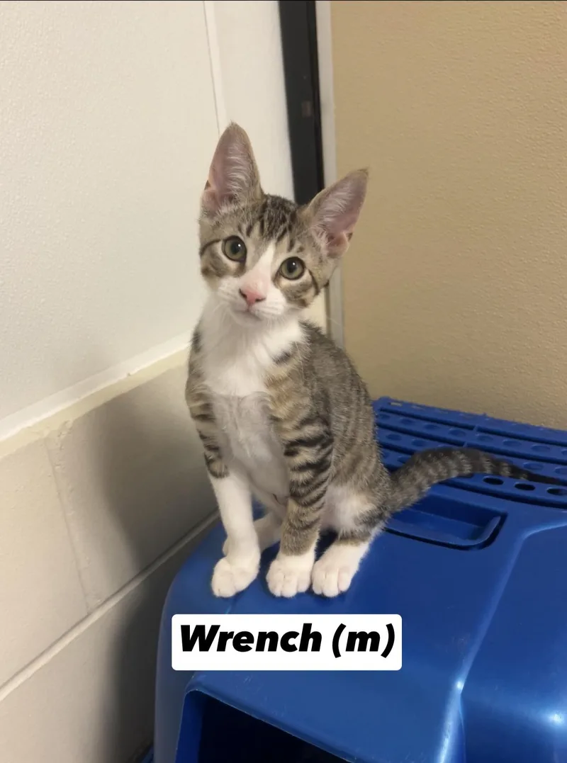 Wrench thumbnail 5
