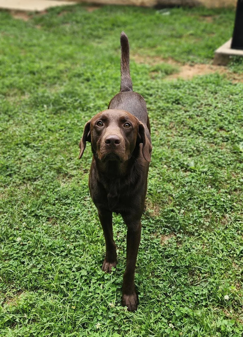 Max